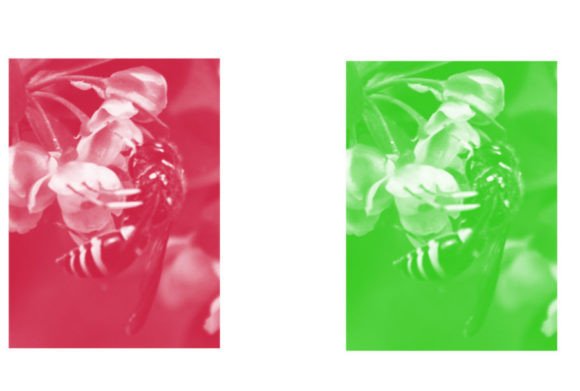 Integrating Brush 44 Into Your Digital Creative Workflow