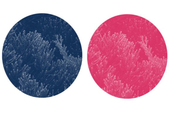 Mastering Precision: The Essential Guide to the Circle Brush for Digital Creators